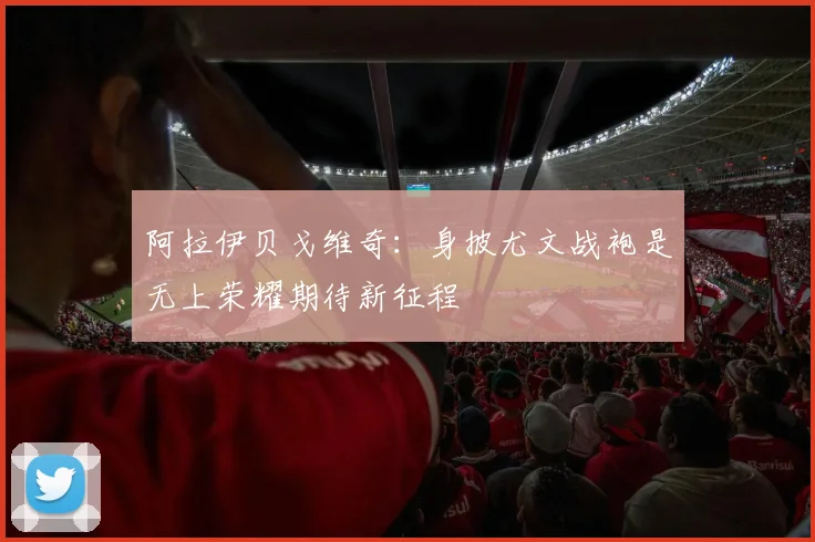 阿拉伊贝戈维奇：身披尤文战袍是无上荣耀期待新征程