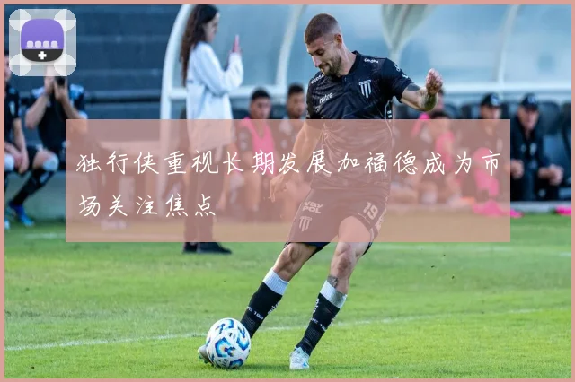 独行侠重视长期发展加福德成为市场关注焦点