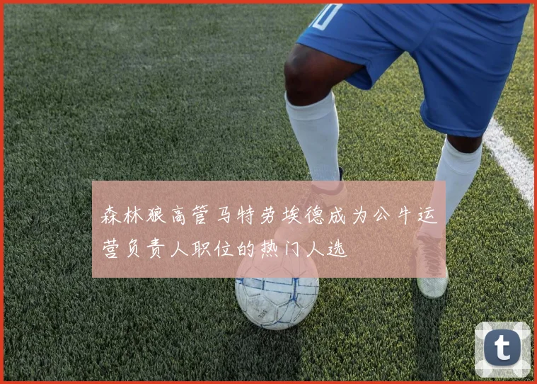 森林狼高管马特劳埃德成为公牛运营负责人职位的热门人选