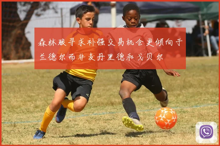 森林狼寻求补强交易机会更倾向于兰德尔而非麦丹里德和戈贝尔